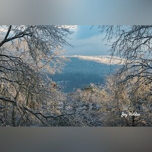 Winter Snowy Landscape Print with Signature 8x10